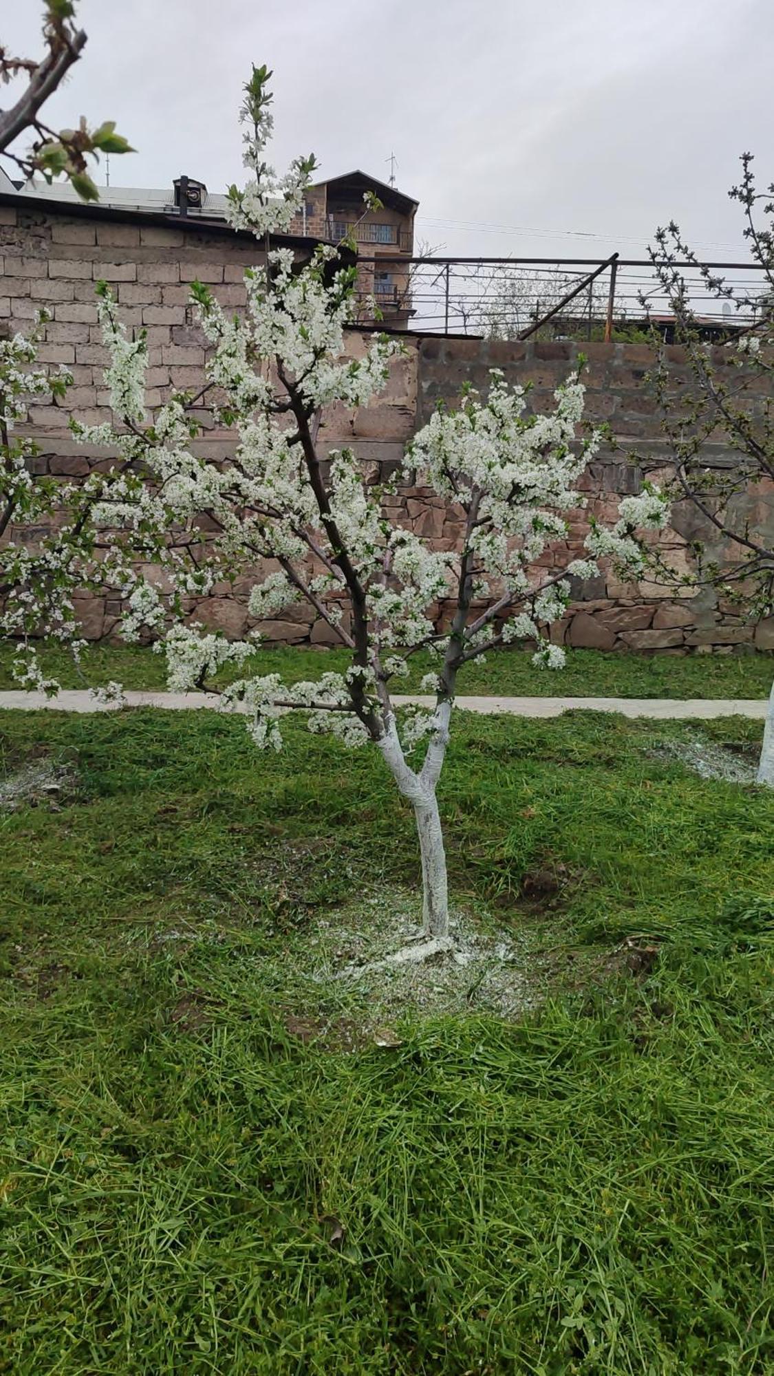 Bonjour House Hotel Jerevan Buitenkant foto